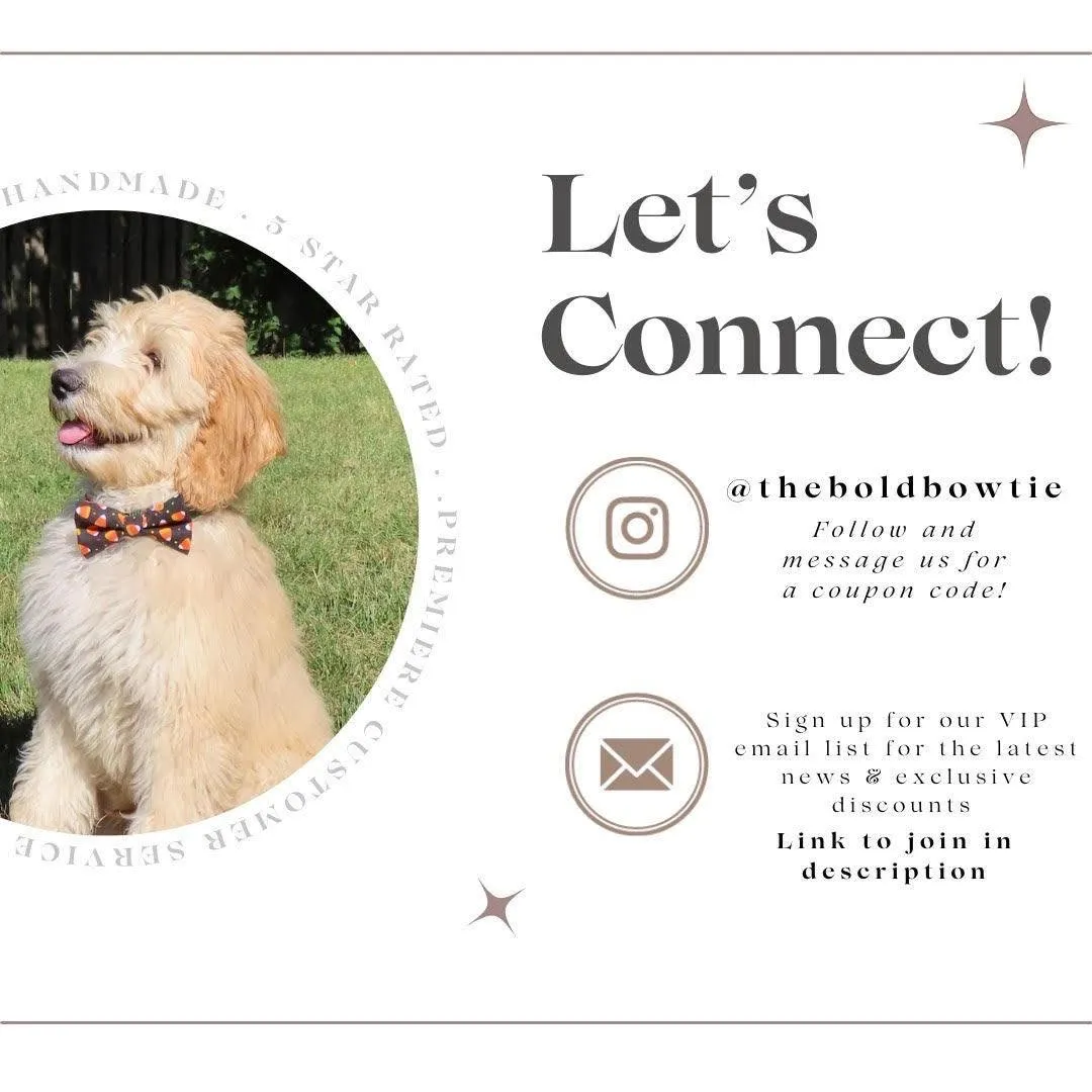 Autumn Picnic Plaid Dog Bandana