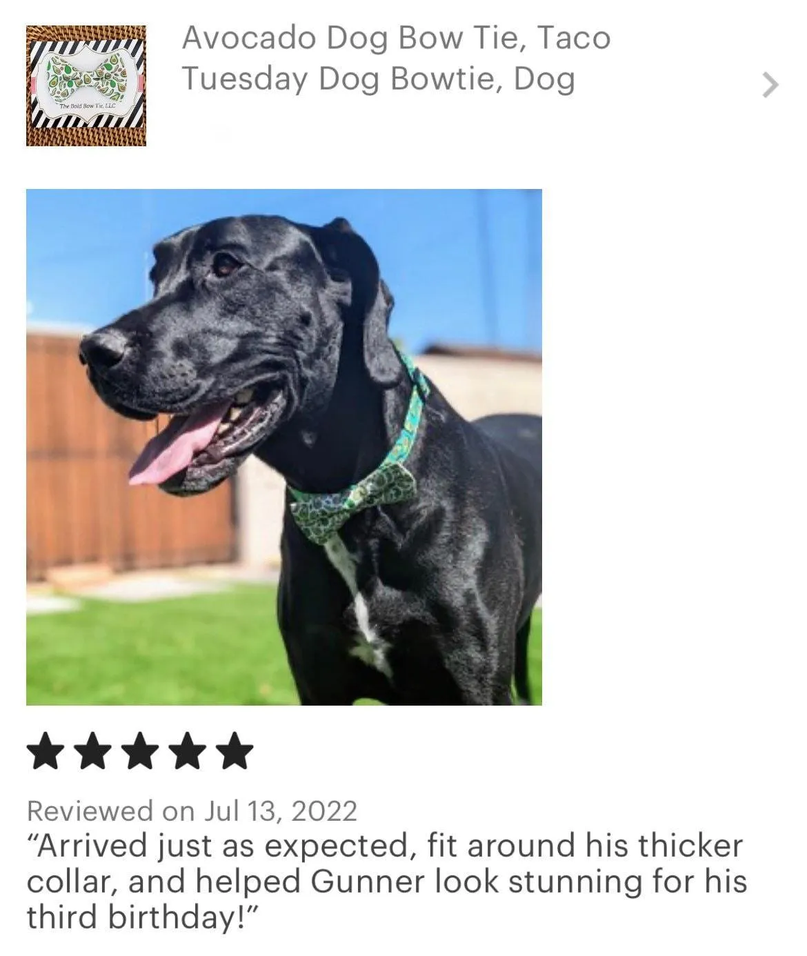 Avocado Bow Tie for Dog and Cat Collar