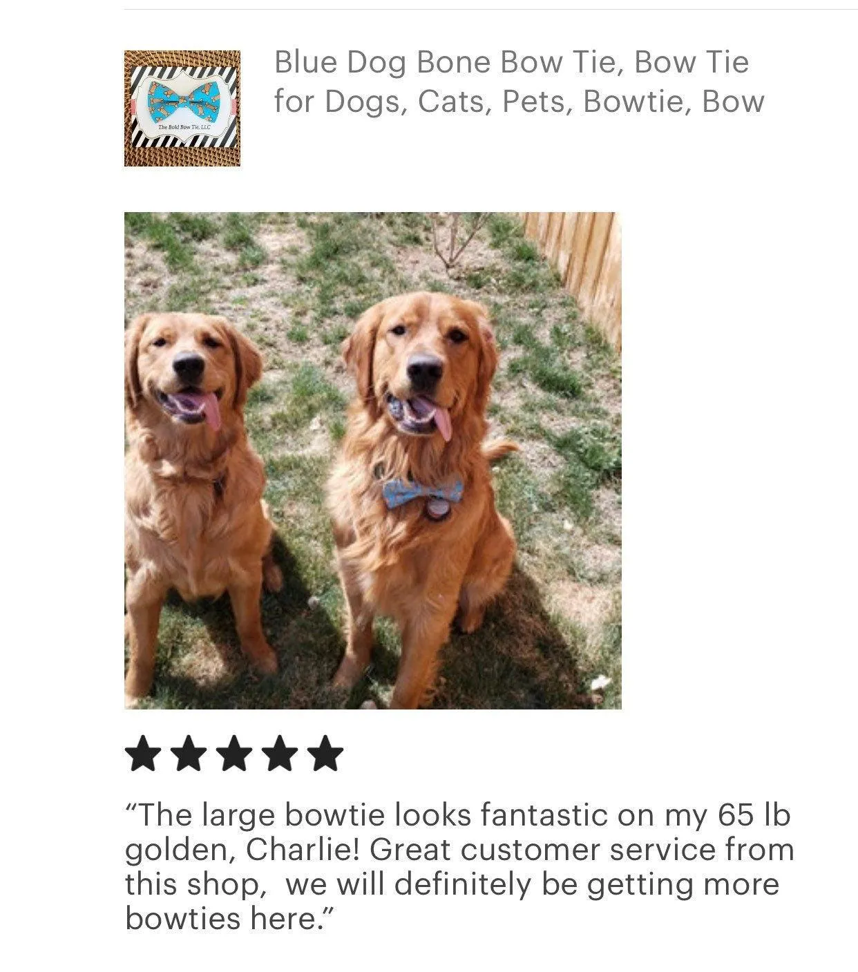 Blue Dog Bone Bow Tie for Dog and Cat Collar