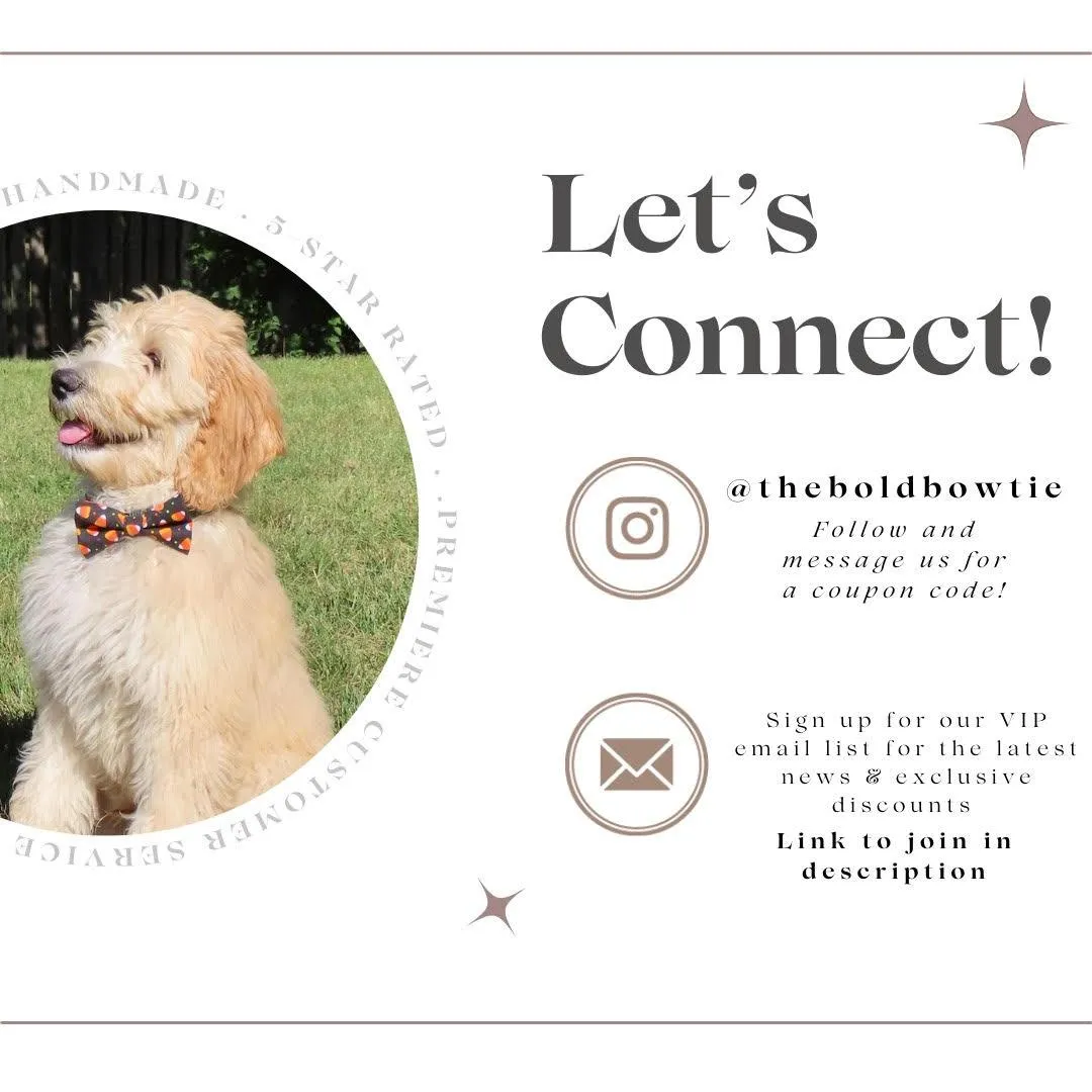 Books Bow Tie for Dog and Cat Collar