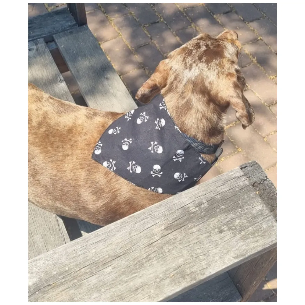 Bows and Bandannas Set - Doggies