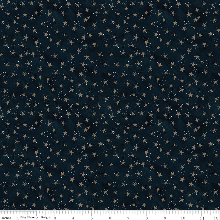 Bright Stars | 2.5-inch Precut Strips by Teresa Kogut for Riley Blake | 40pcs