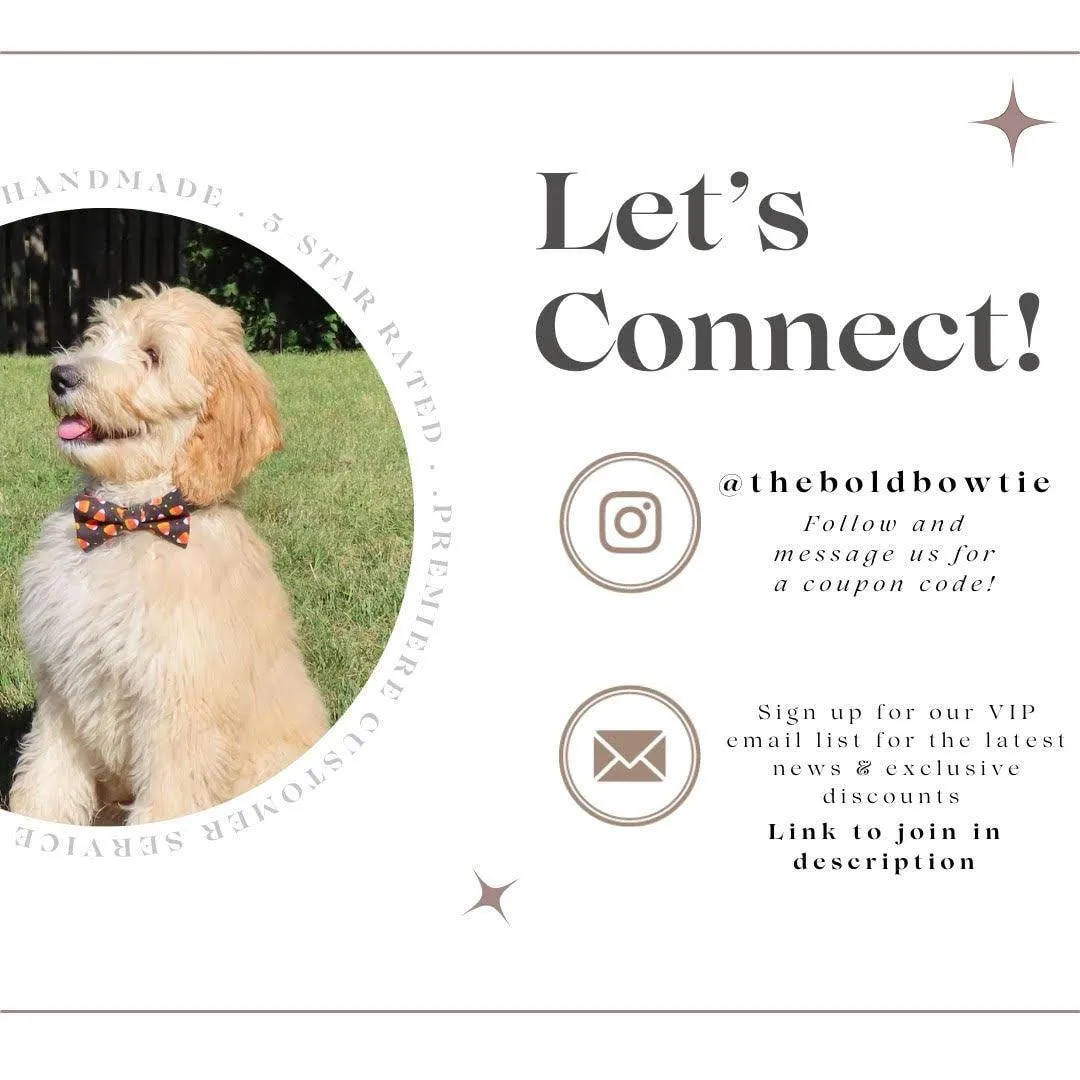 Chalkboard Mama's Boy Bow for Dog Collar and Cat Collar