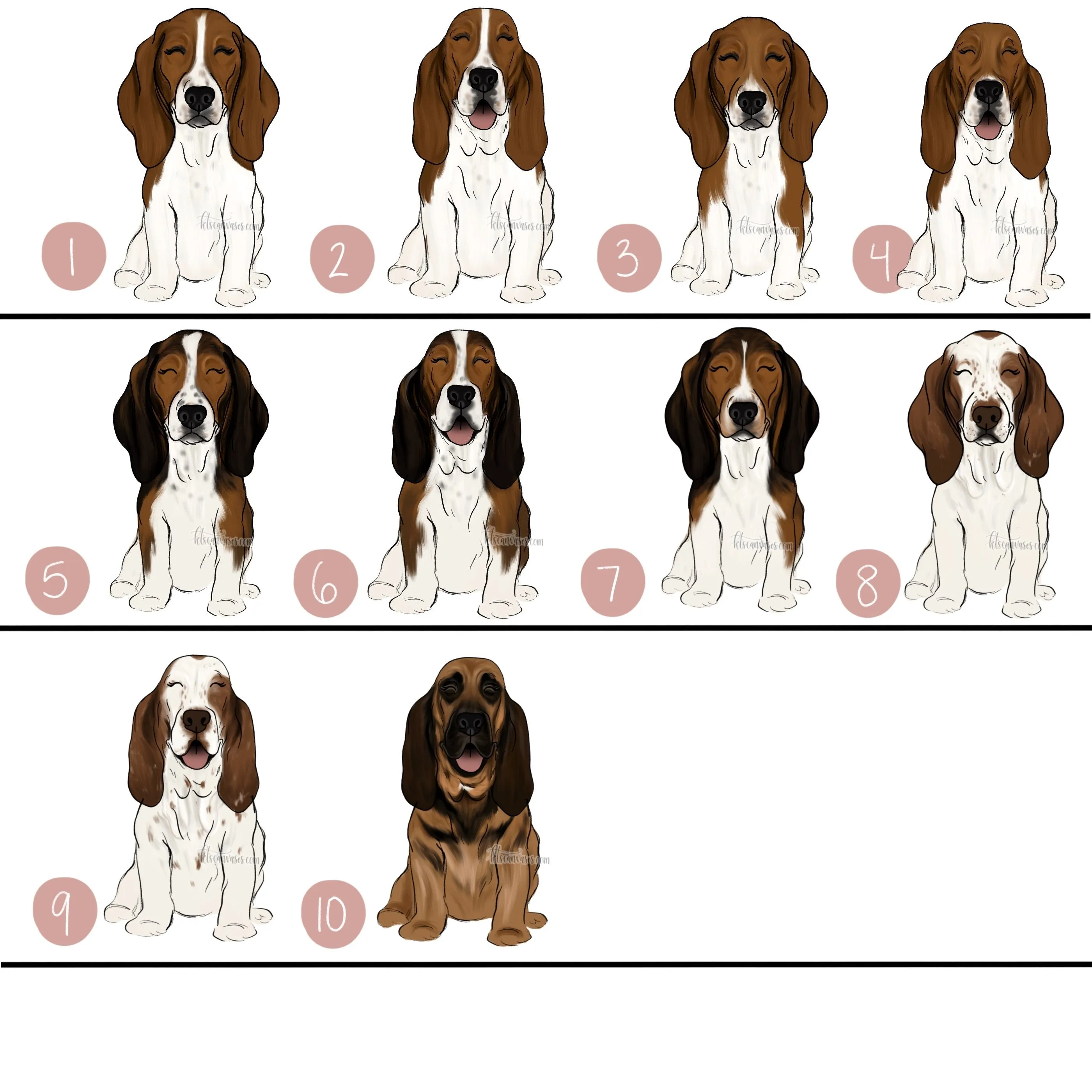 Choose Your BASSET HOUND Art Print