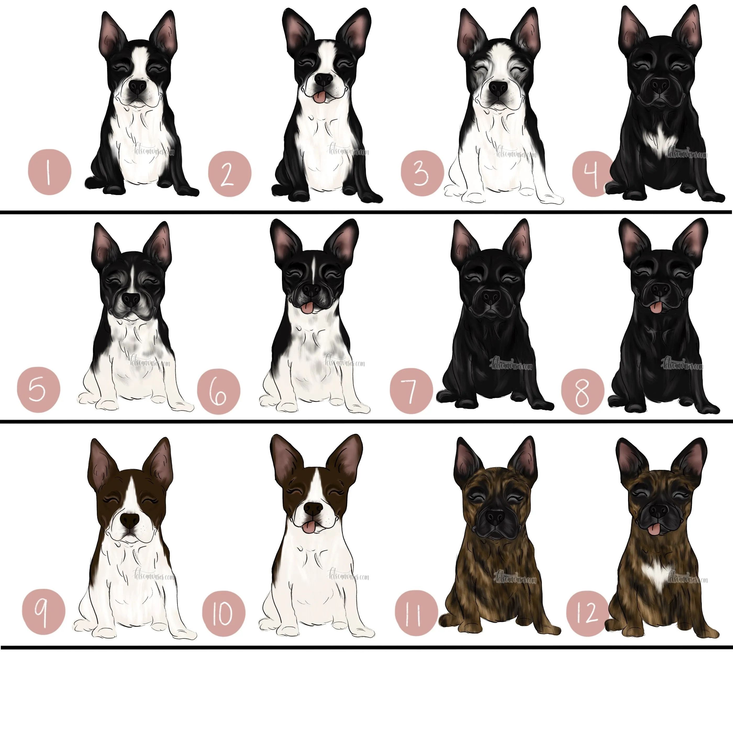 Choose Your BOSTON TERRIER Art Print
