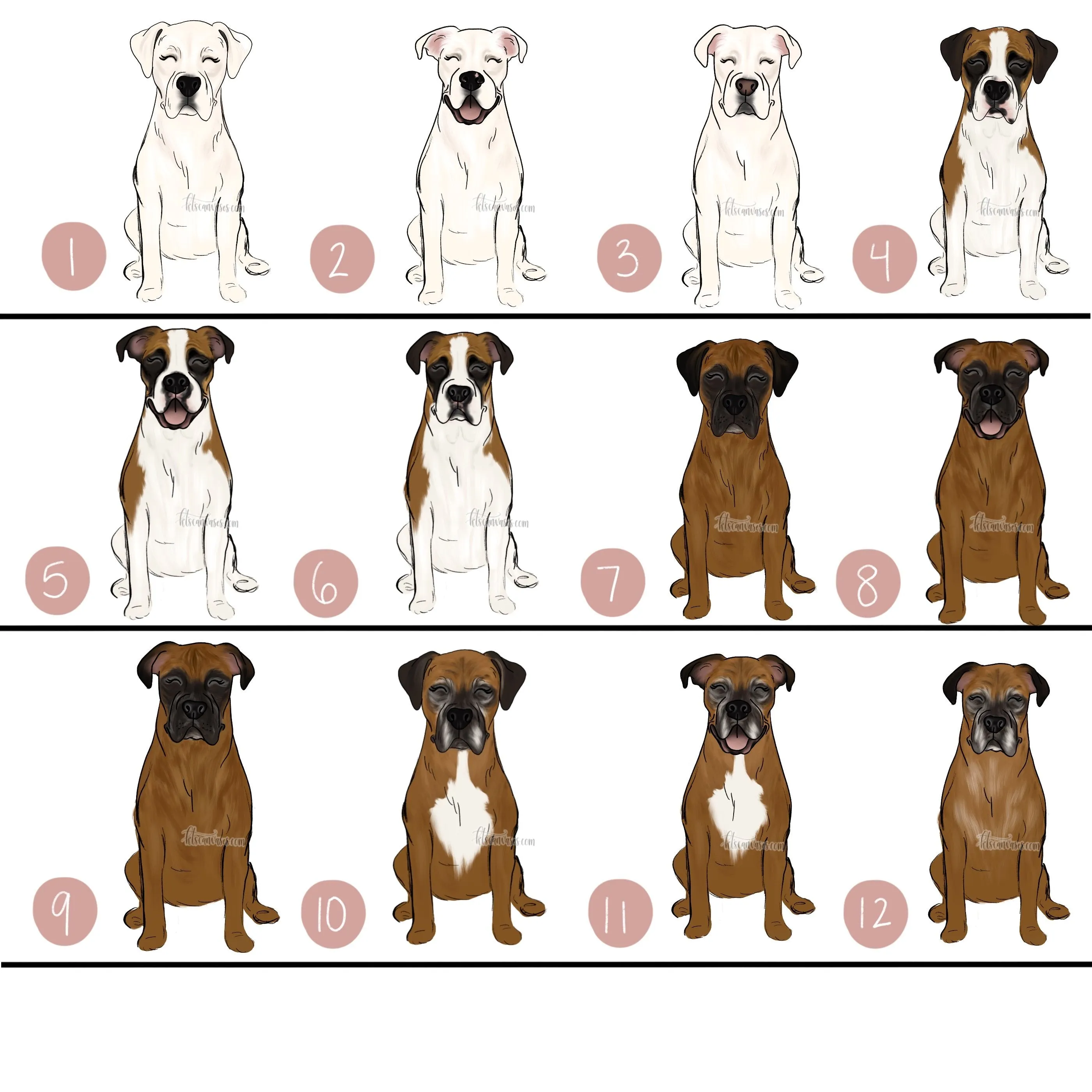 Choose Your BOXER Art Print