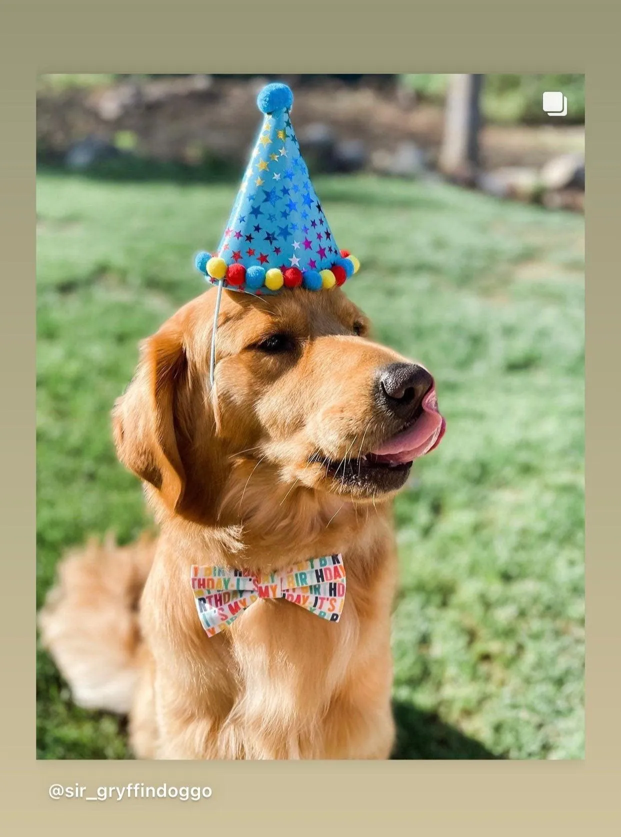 Colorful Birthday Bow Tie for Dog and Cat Collar