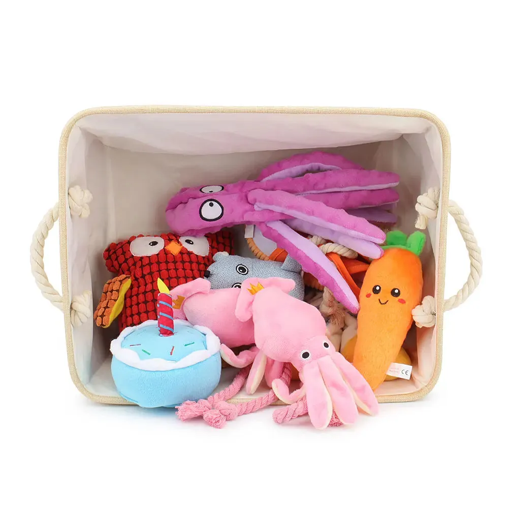 Custom Dog Toy Box