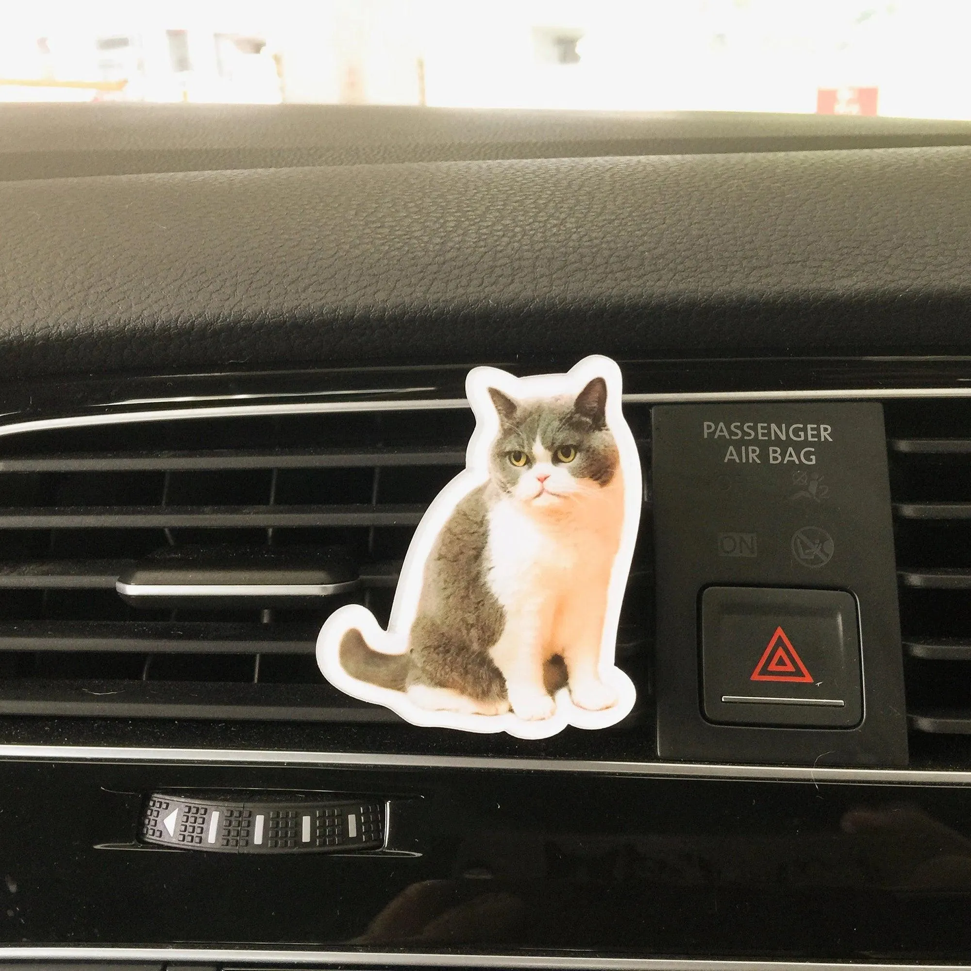 Custom Pet Photo Air Freshener | Personalized Car Diffuser | Dog Cat Lover Gift | Unique Memorial Keepsake