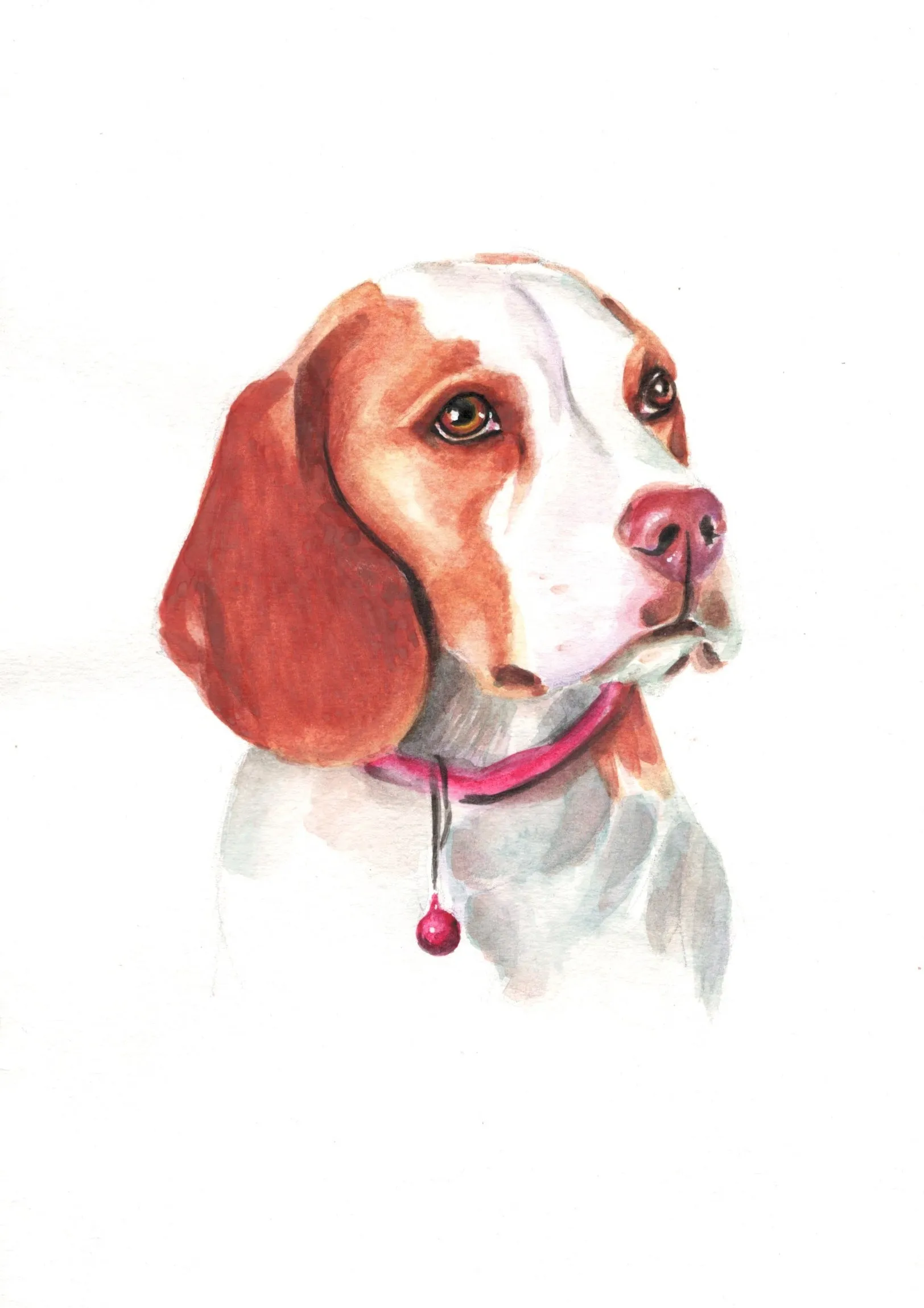 Custom Pet Portraits: Unique Handcrafted Art for Your Beloved Pet , Watercolor Pet Portrait