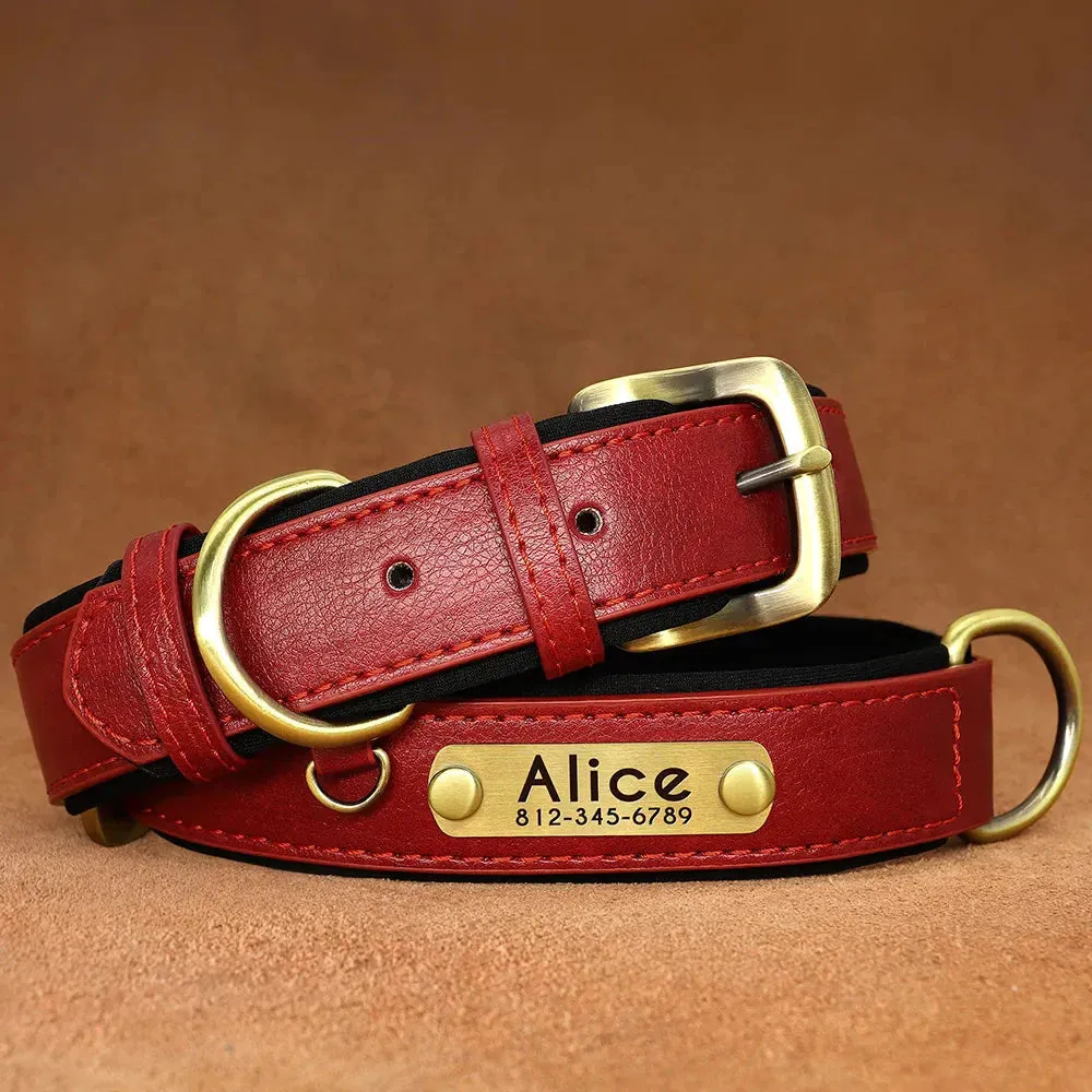 Customised Leather ID Nameplate Dog Collar