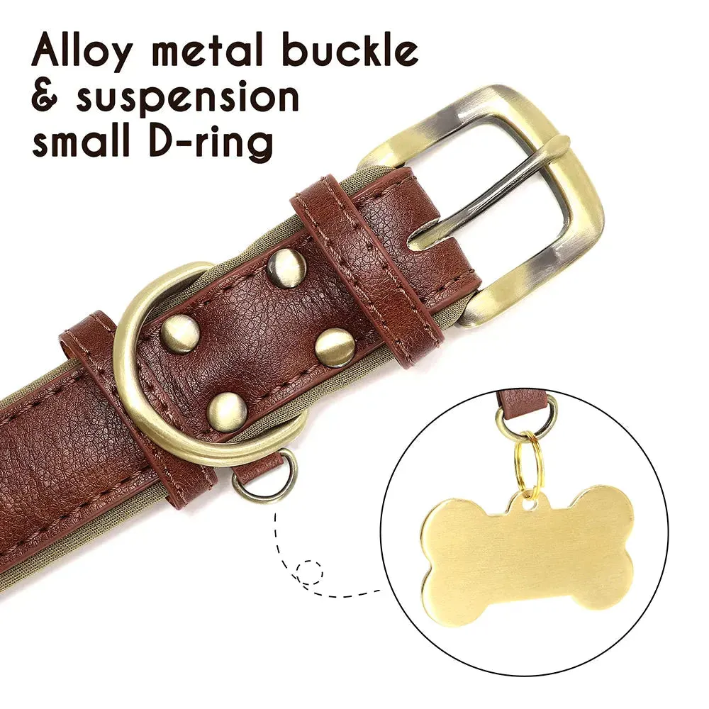 Customised Leather ID Nameplate Dog Collar