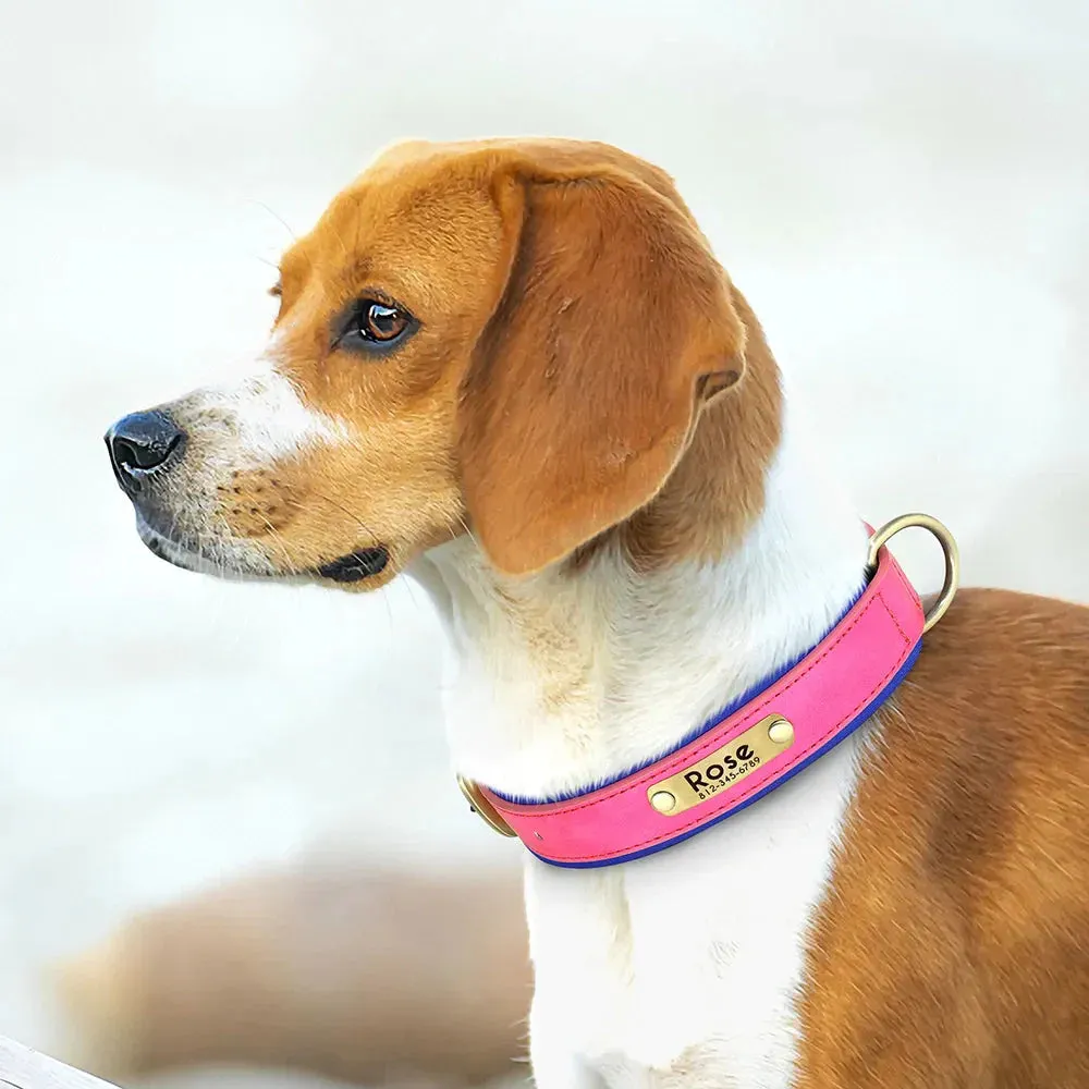 Customised Leather ID Nameplate Dog Collar