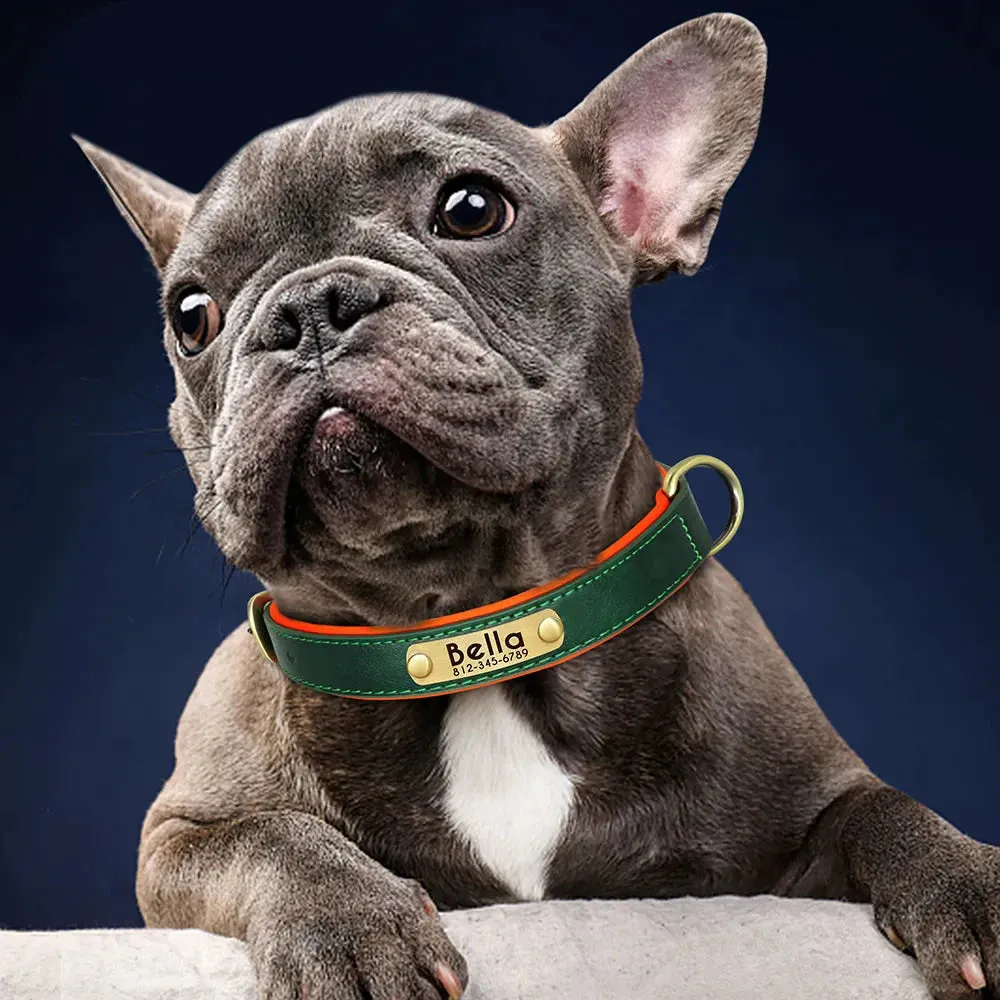 Customised Leather ID Nameplate Dog Collar