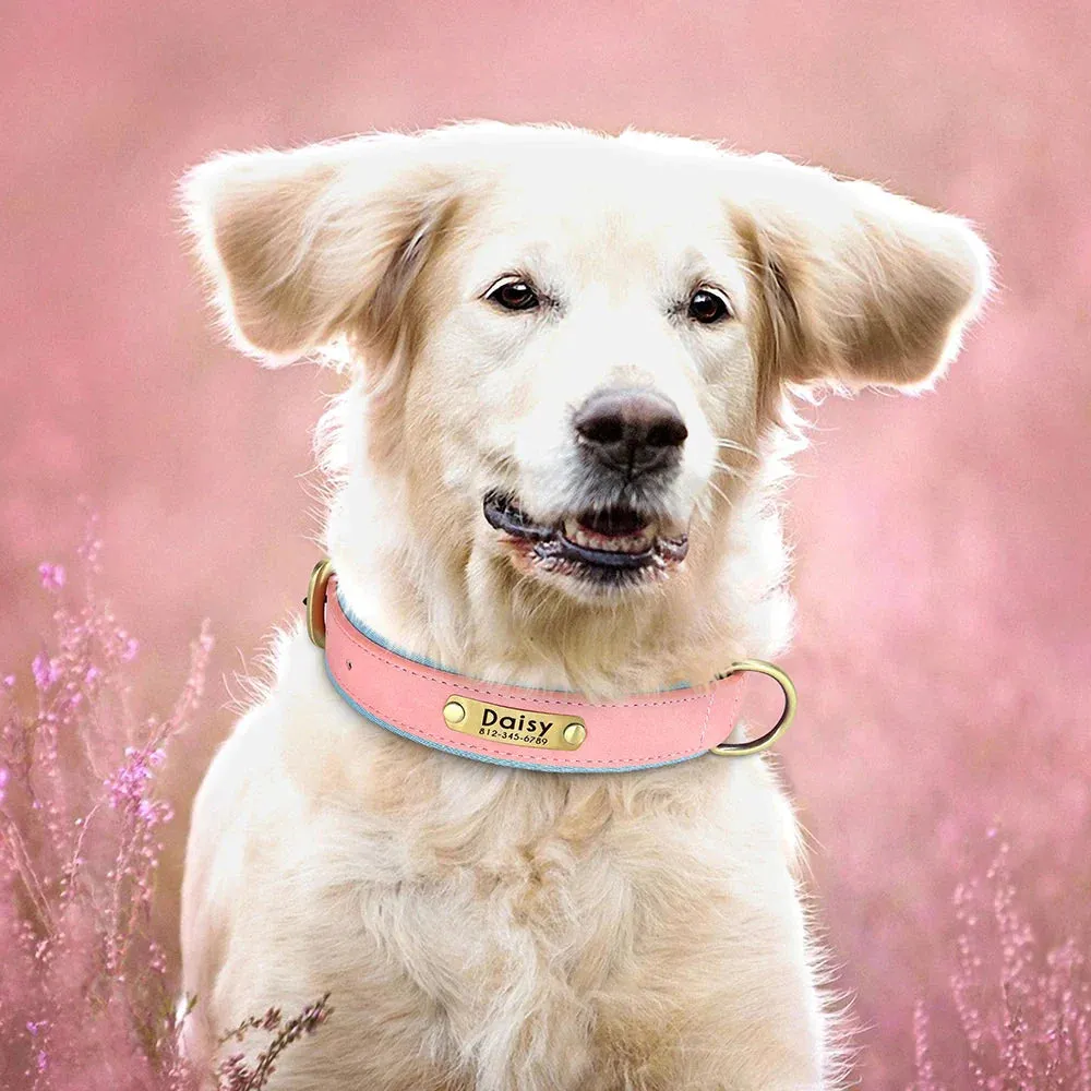 Customised Leather ID Nameplate Dog Collar