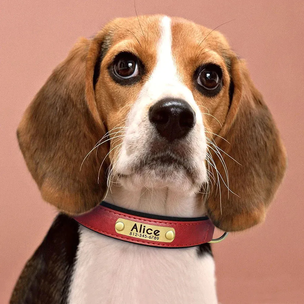Customised Leather ID Nameplate Dog Collar
