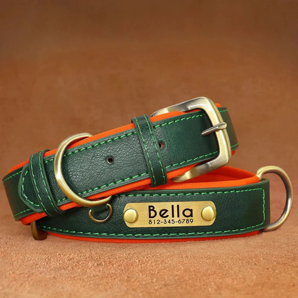 Customised Leather ID Nameplate Dog Collar