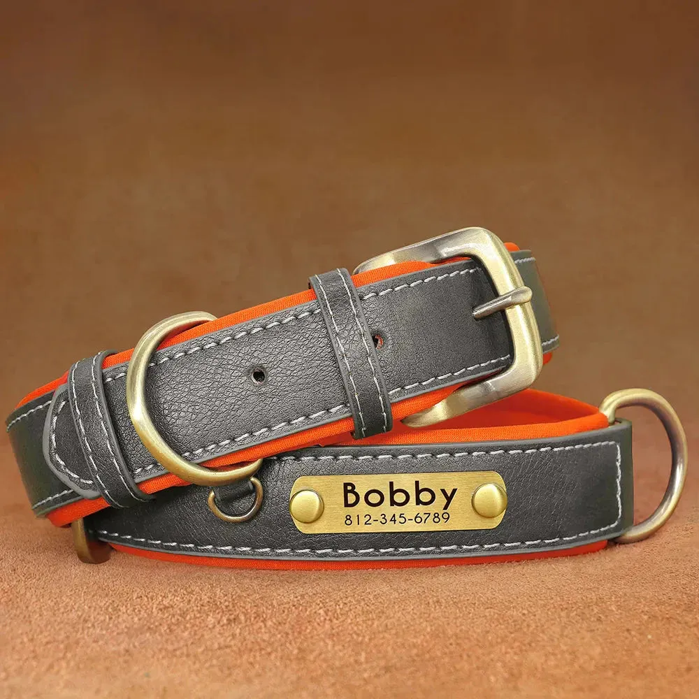 Customised Leather ID Nameplate Dog Collar