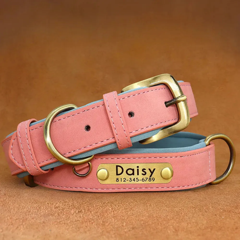 Customised Leather ID Nameplate Dog Collar