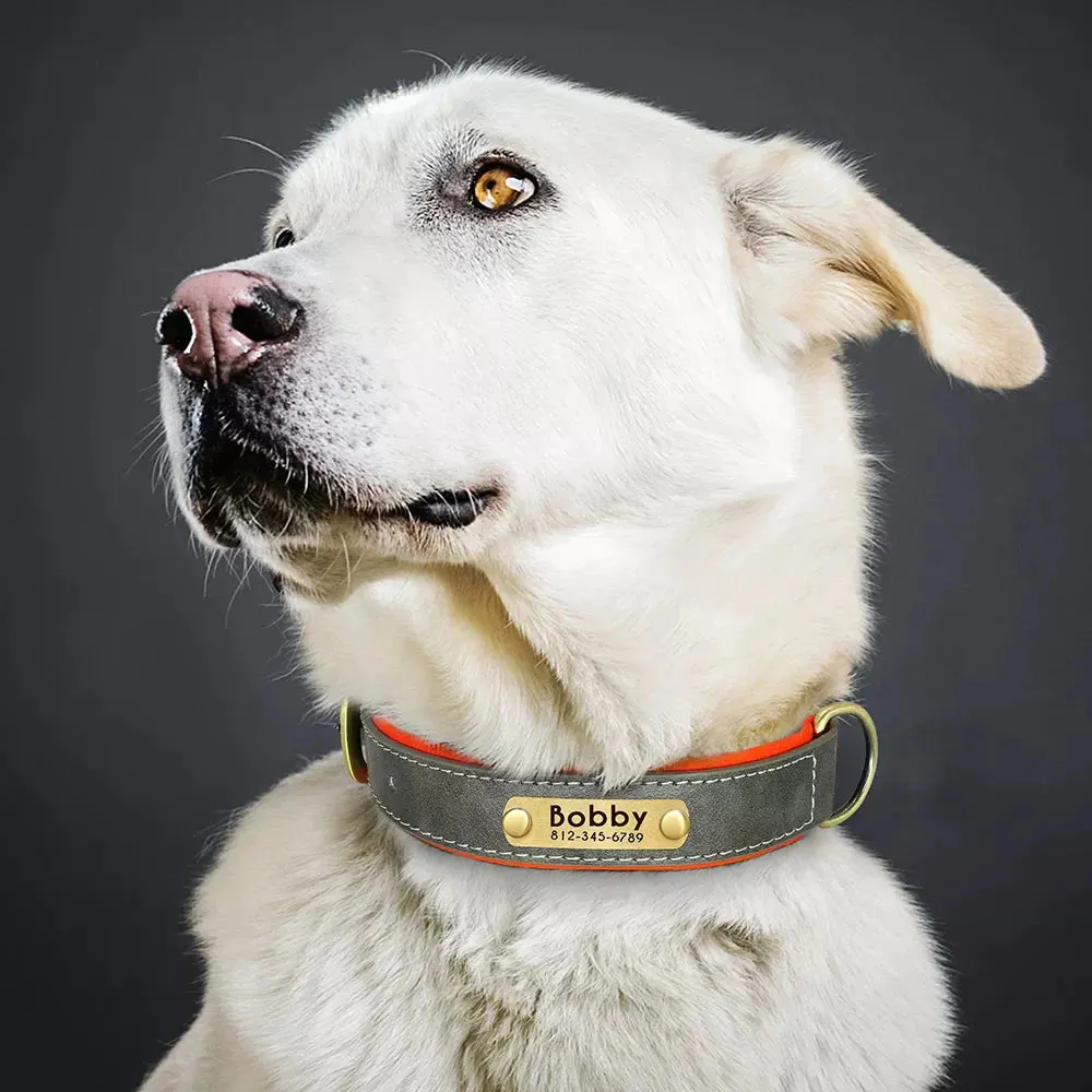 Customised Leather ID Nameplate Dog Collar