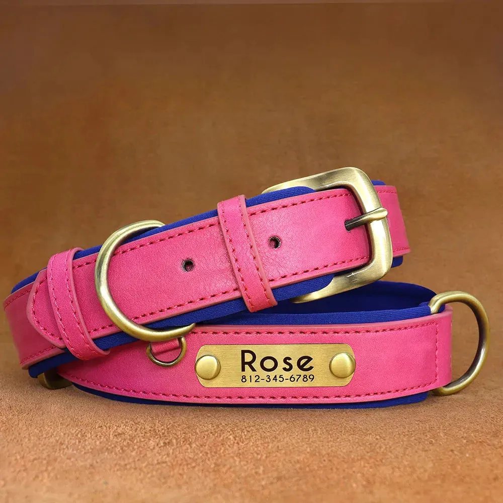 Customised Leather ID Nameplate Dog Collar