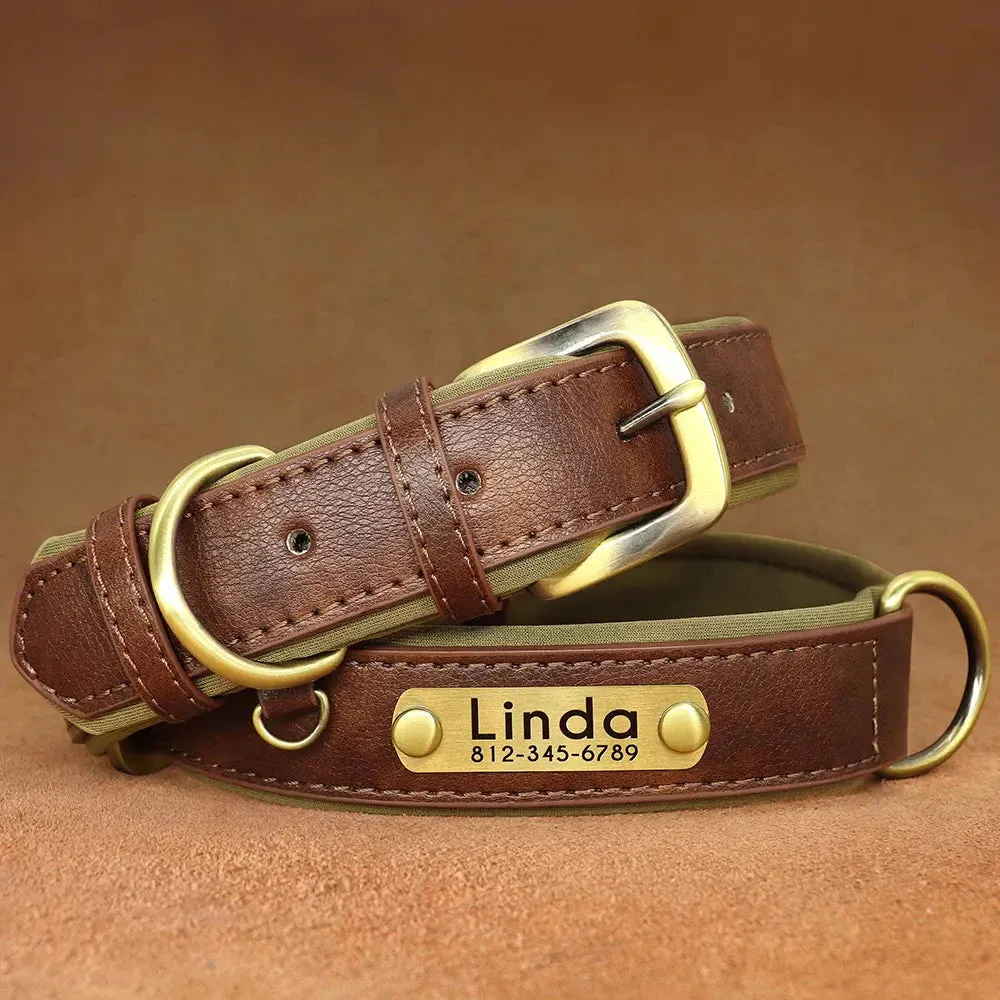 Customised Leather ID Nameplate Dog Collar