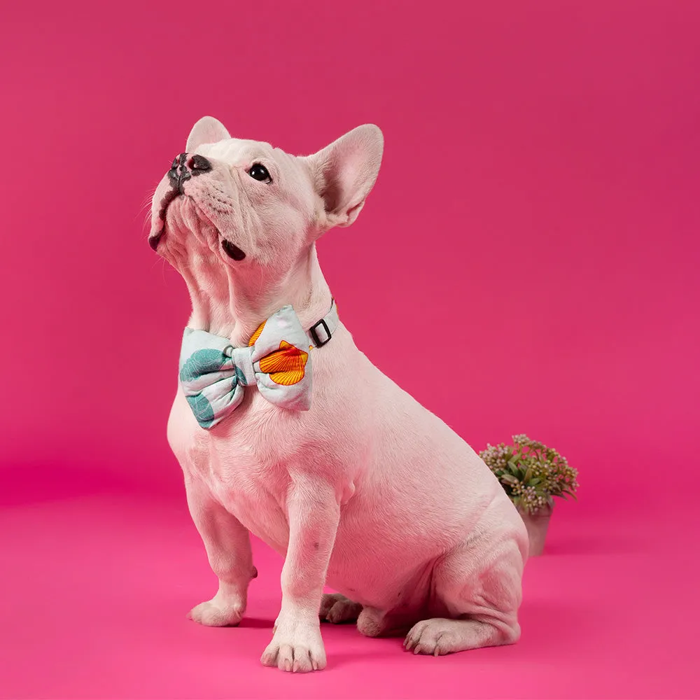 Dear Pet Dancing Pearls Dog Bow (Detachable)