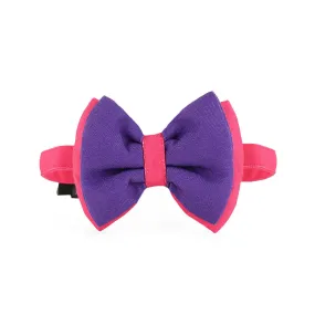 DearPet Double Trouble Purple & Pink Dog Bow Tie