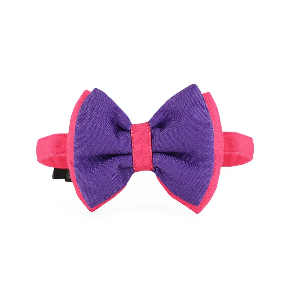 DearPet Double Trouble Purple & Pink Dog Bow Tie