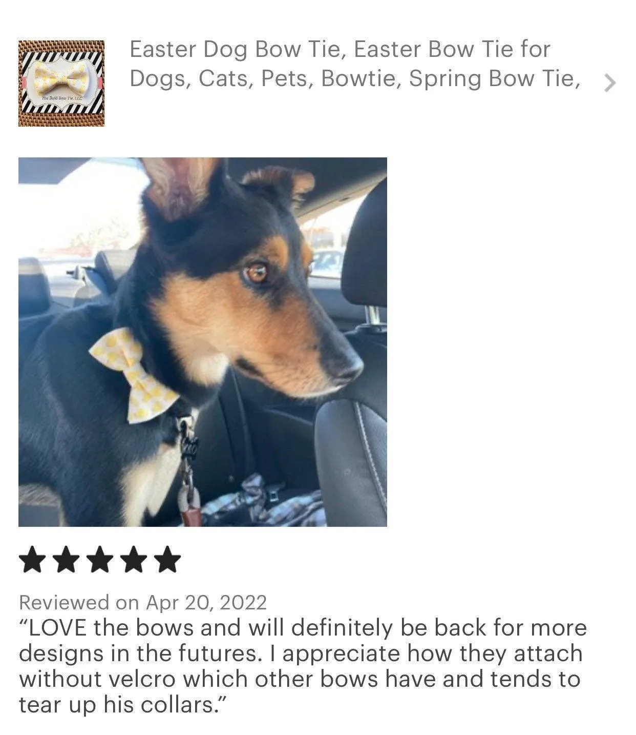 Easter Chicks Dog and Cat Collar Bow Tie