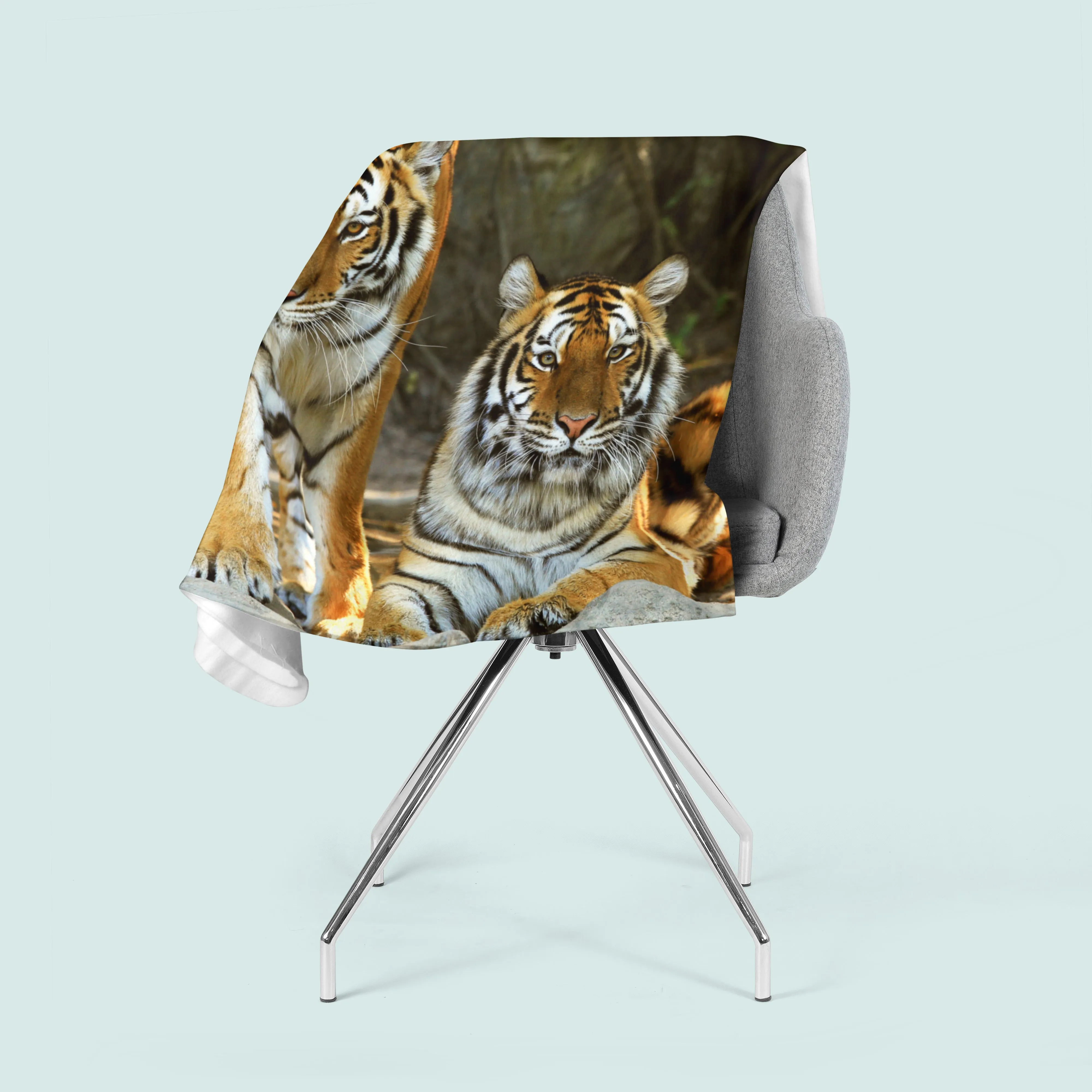 Fleece Blanket Charisma