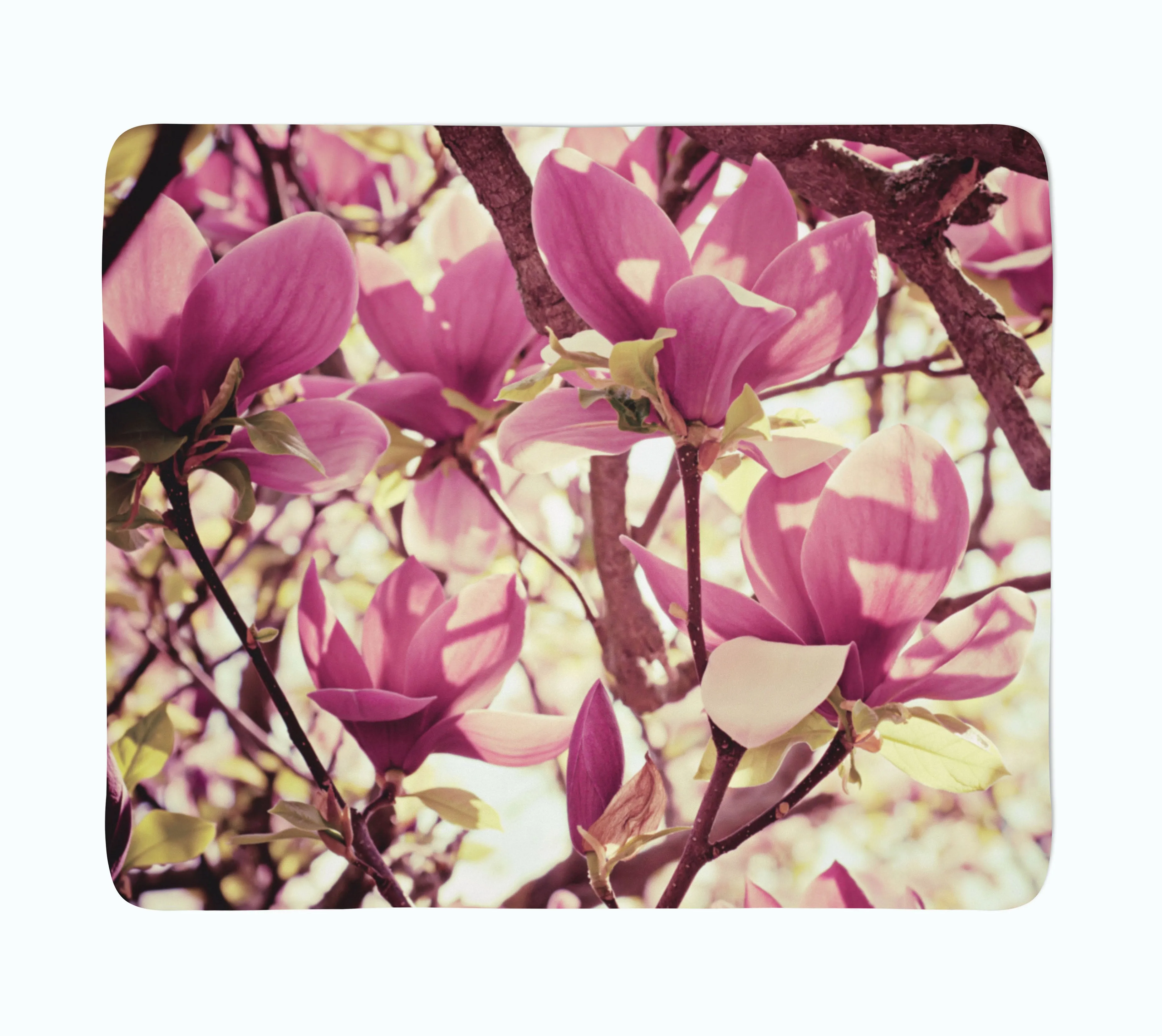 Fleece Blanket Pink Magnolias