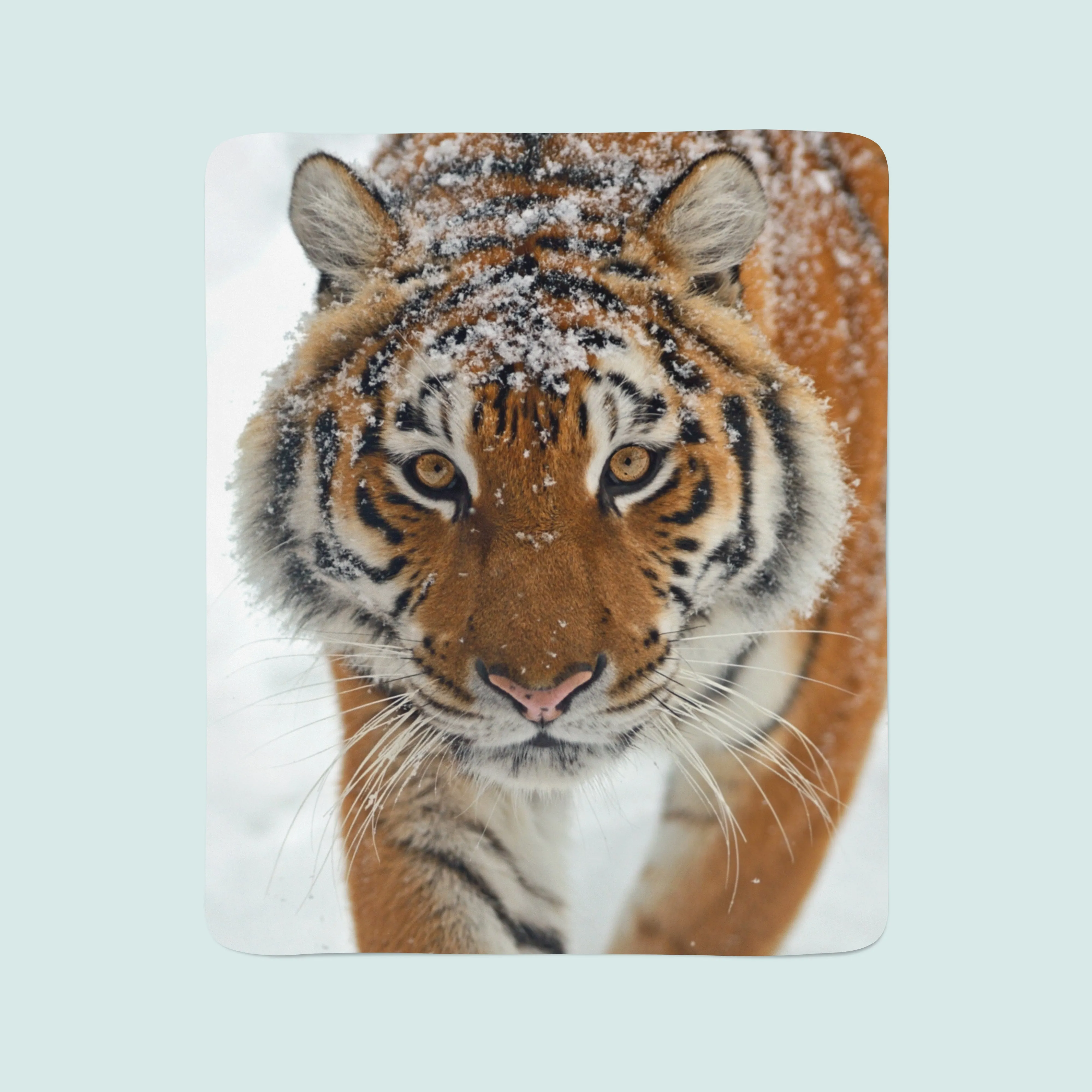 Fleece Blanket Sincere Look