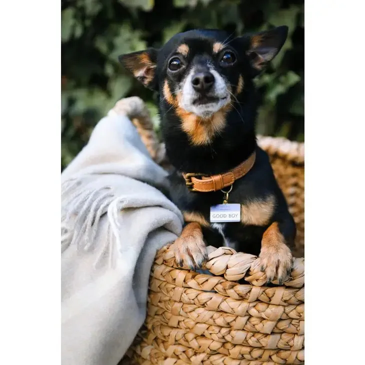 Good Boy Pet ID Tag