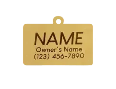 Hello My Name is Pet ID Tag in Gold