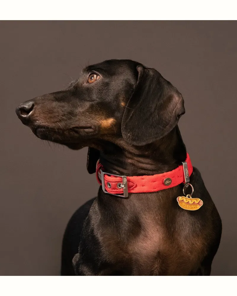 Hot Dog Custom Pet ID Tag