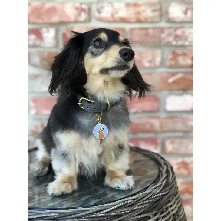 Love is Love Pet ID Tag