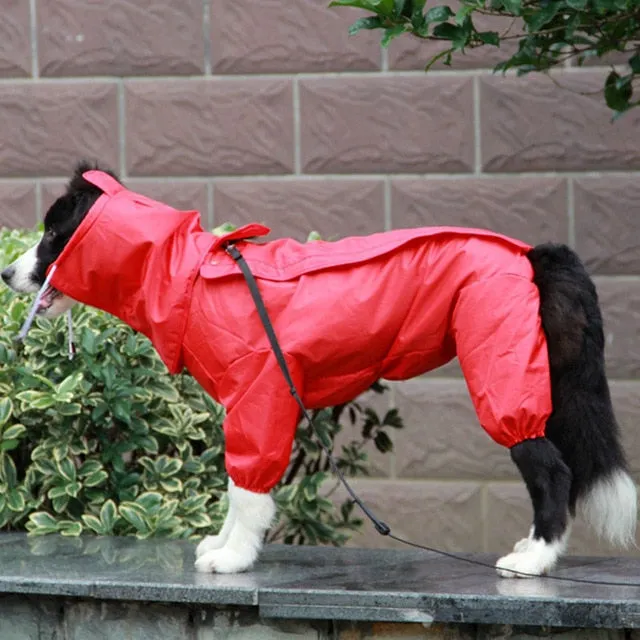 LOYAL Large Dog Rain Coat