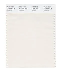 Pantone Smart 11-0604 TCX Color Swatch Card