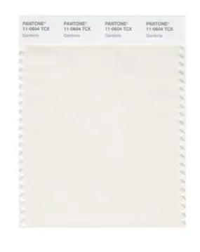 Pantone Smart 11-0604 TCX Color Swatch Card