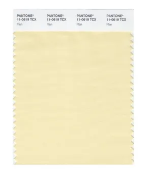 Pantone Smart 11-0619 TCX Color Swatch Card | Flan