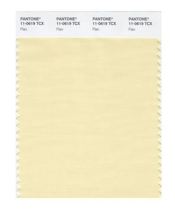 Pantone Smart 11-0619 TCX Color Swatch Card | Flan