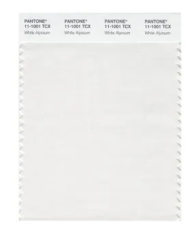Pantone Smart 11-1001 TCX Color Swatch Card | White Alyssum