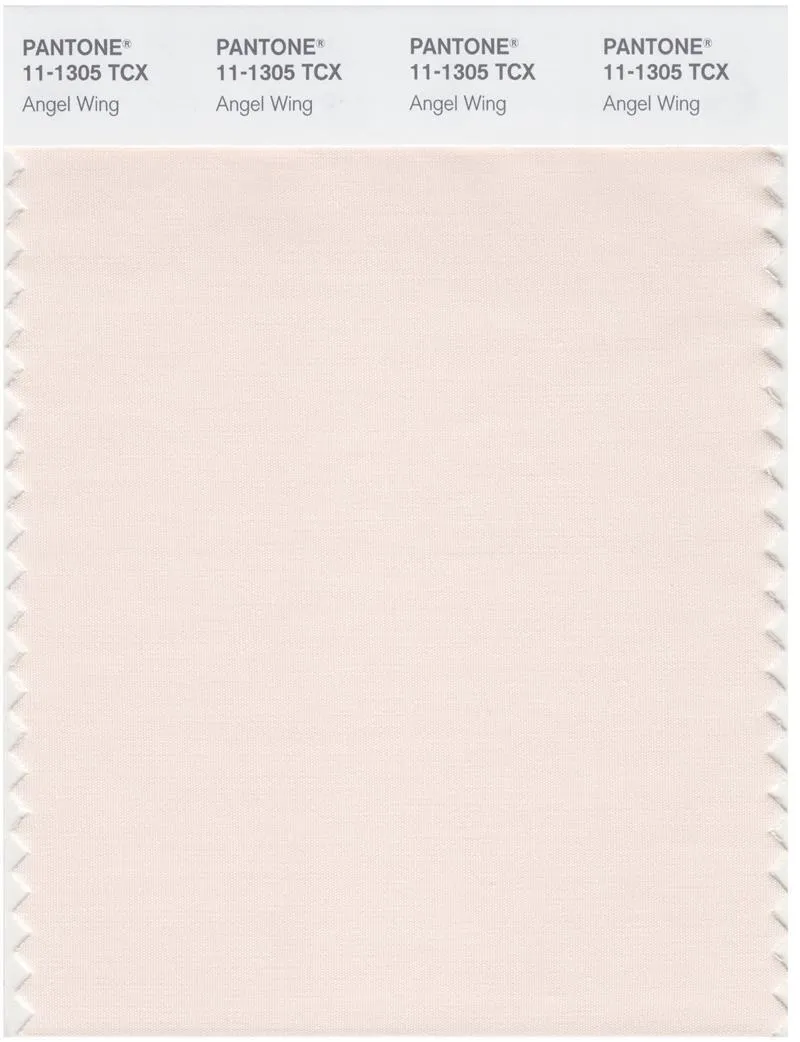 Pantone Smart 11-1305 TCX Color Swatch Card | Angel Wing