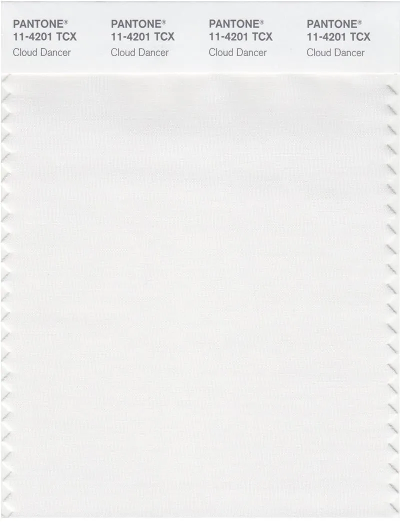 Pantone Smart 11-4201 TCX Color Swatch Card | Cloud Dancer