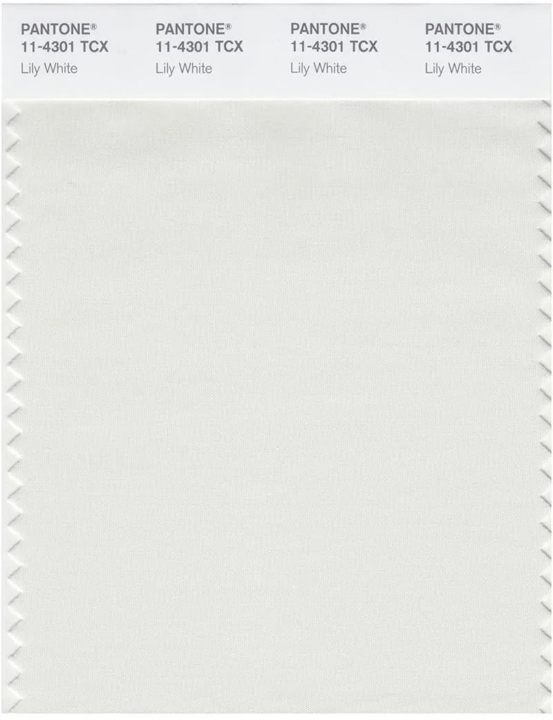 Pantone Smart 11-4301 TCX Color Swatch Card | Lily White