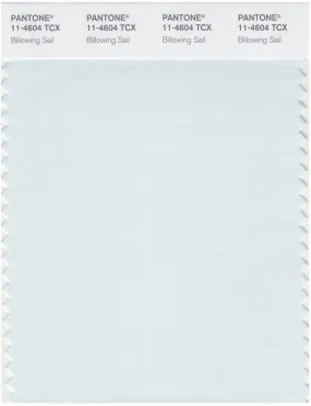 Pantone Smart 11-4604 TCX Color Swatch Card | Billowing Sail