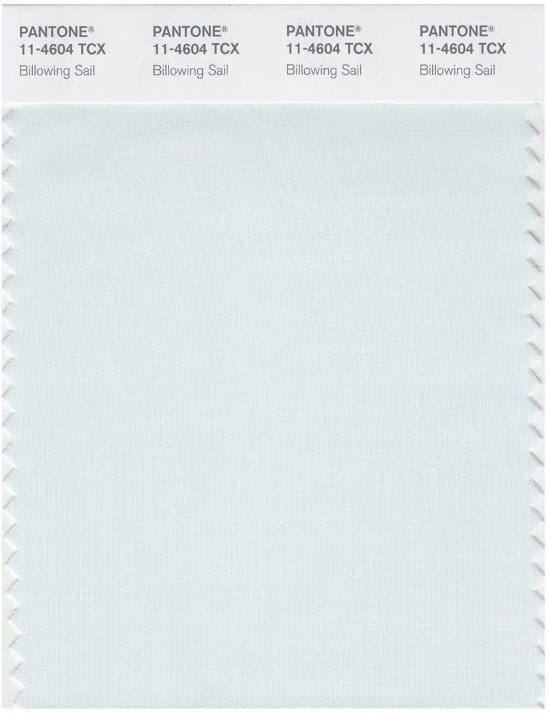 Pantone Smart 11-4604 TCX Color Swatch Card | Billowing Sail