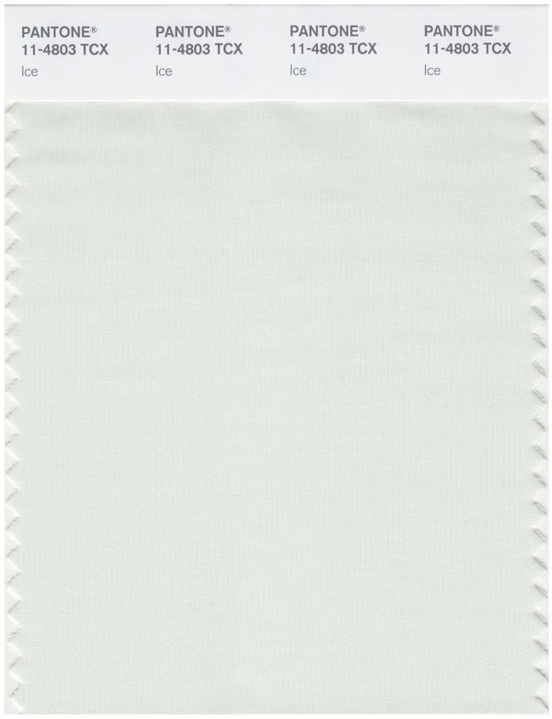 Pantone Smart 11-4803 TCX Color Swatch Card | Ice