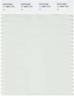 Pantone Smart 11-4803 TCX Color Swatch Card | Ice